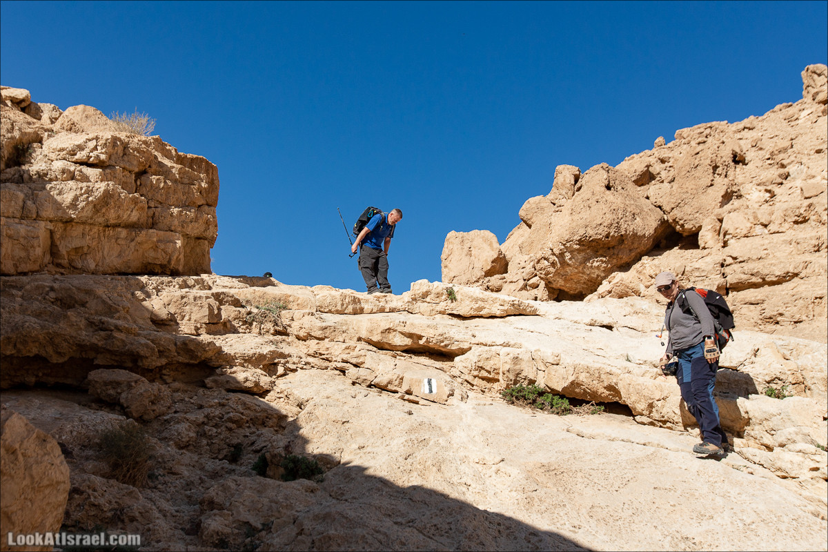 Ущелье Нахаль Акрабим | נחל עקרבים | LookAtIsrael.com - Фото путешествия по Израилю