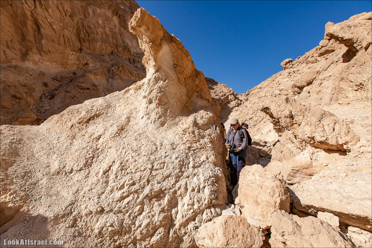 Ущелье Нахаль Акрабим | נחל עקרבים | LookAtIsrael.com - Фото путешествия по Израилю