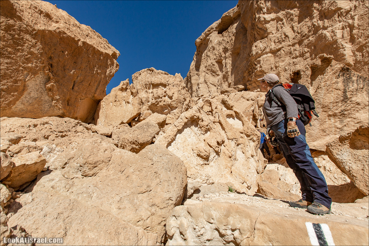 Ущелье Нахаль Акрабим | נחל עקרבים | LookAtIsrael.com - Фото путешествия по Израилю