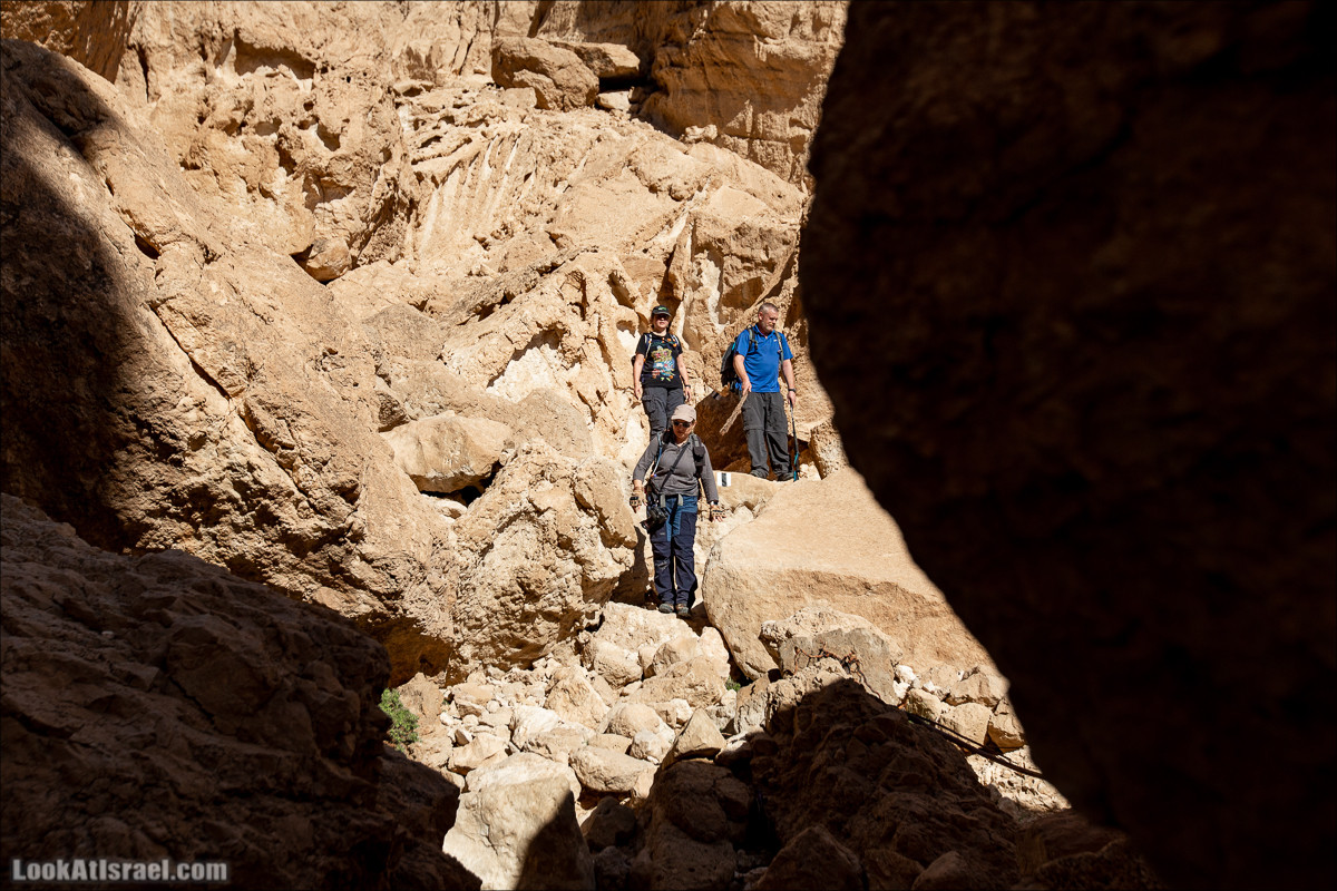 Ущелье Нахаль Акрабим | נחל עקרבים | LookAtIsrael.com - Фото путешествия по Израилю