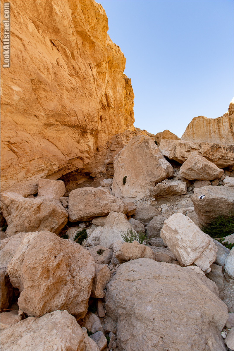 Ущелье Нахаль Акрабим | נחל עקרבים | LookAtIsrael.com - Фото путешествия по Израилю