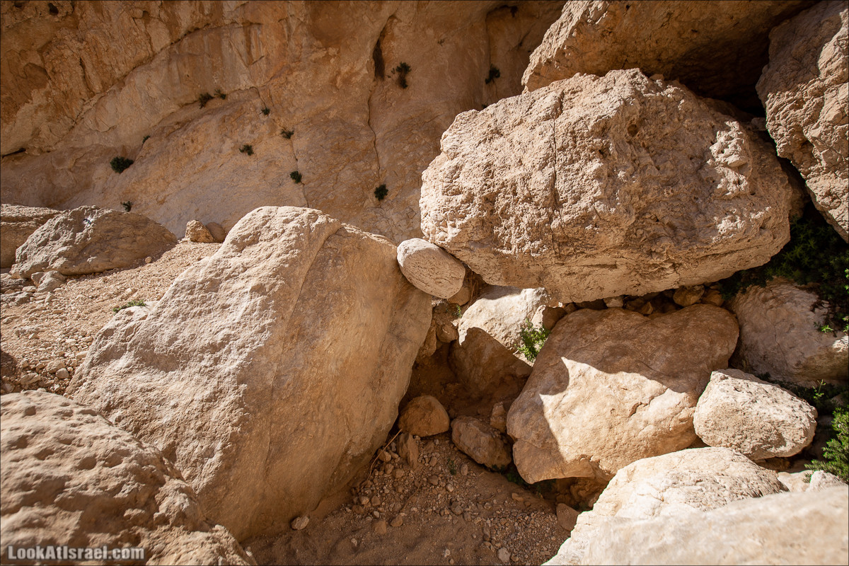 Ущелье Нахаль Акрабим | נחל עקרבים | LookAtIsrael.com - Фото путешествия по Израилю