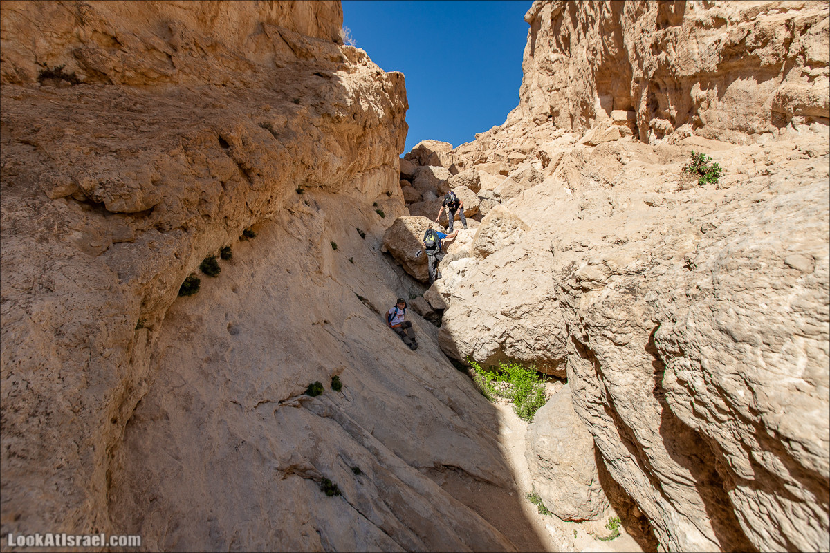 Ущелье Нахаль Акрабим | נחל עקרבים | LookAtIsrael.com - Фото путешествия по Израилю