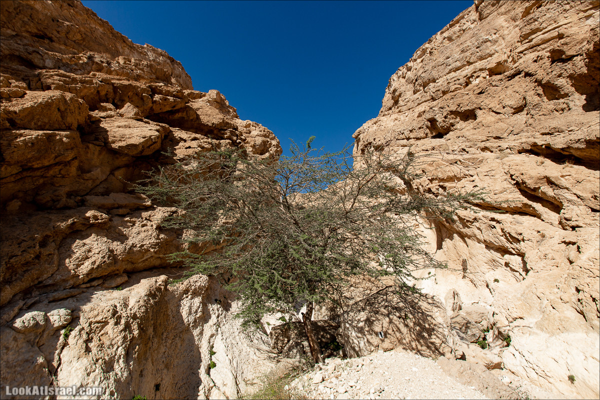 Ущелье Нахаль Акрабим | נחל עקרבים | LookAtIsrael.com - Фото путешествия по Израилю