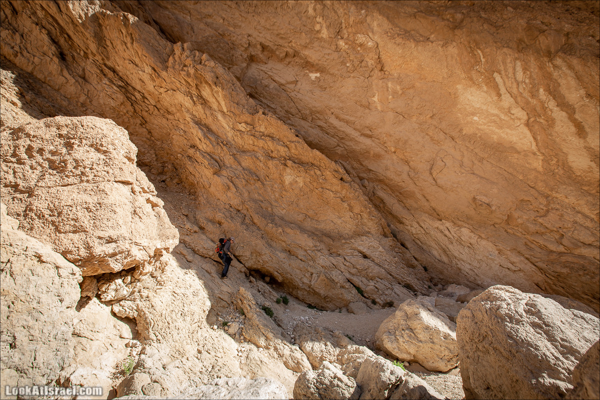 Ущелье Нахаль Акрабим | נחל עקרבים | LookAtIsrael.com - Фото путешествия по Израилю