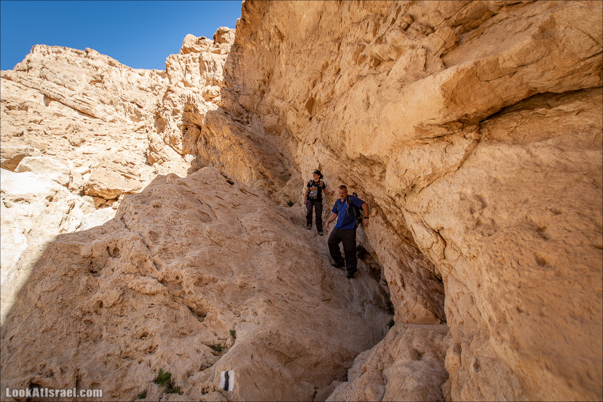 Ущелье Нахаль Акрабим | נחל עקרבים | LookAtIsrael.com - Фото путешествия по Израилю