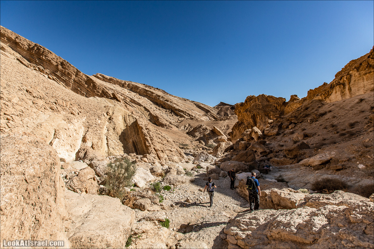 Ущелье Нахаль Акрабим | נחל עקרבים | LookAtIsrael.com - Фото путешествия по Израилю