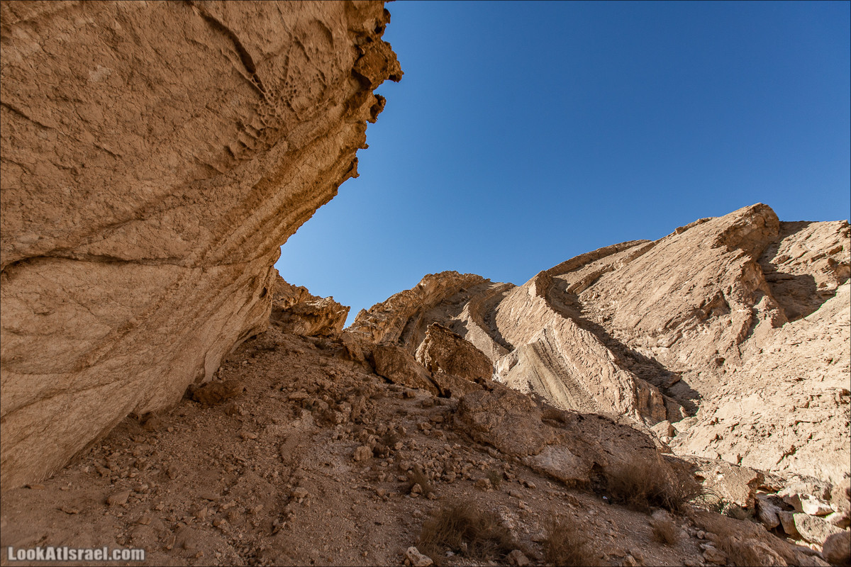 Ущелье Нахаль Акрабим | נחל עקרבים | LookAtIsrael.com - Фото путешествия по Израилю