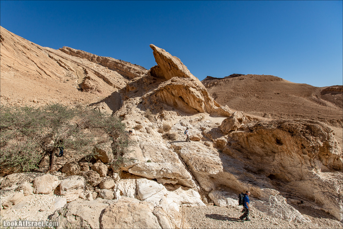 Ущелье Нахаль Акрабим | נחל עקרבים | LookAtIsrael.com - Фото путешествия по Израилю