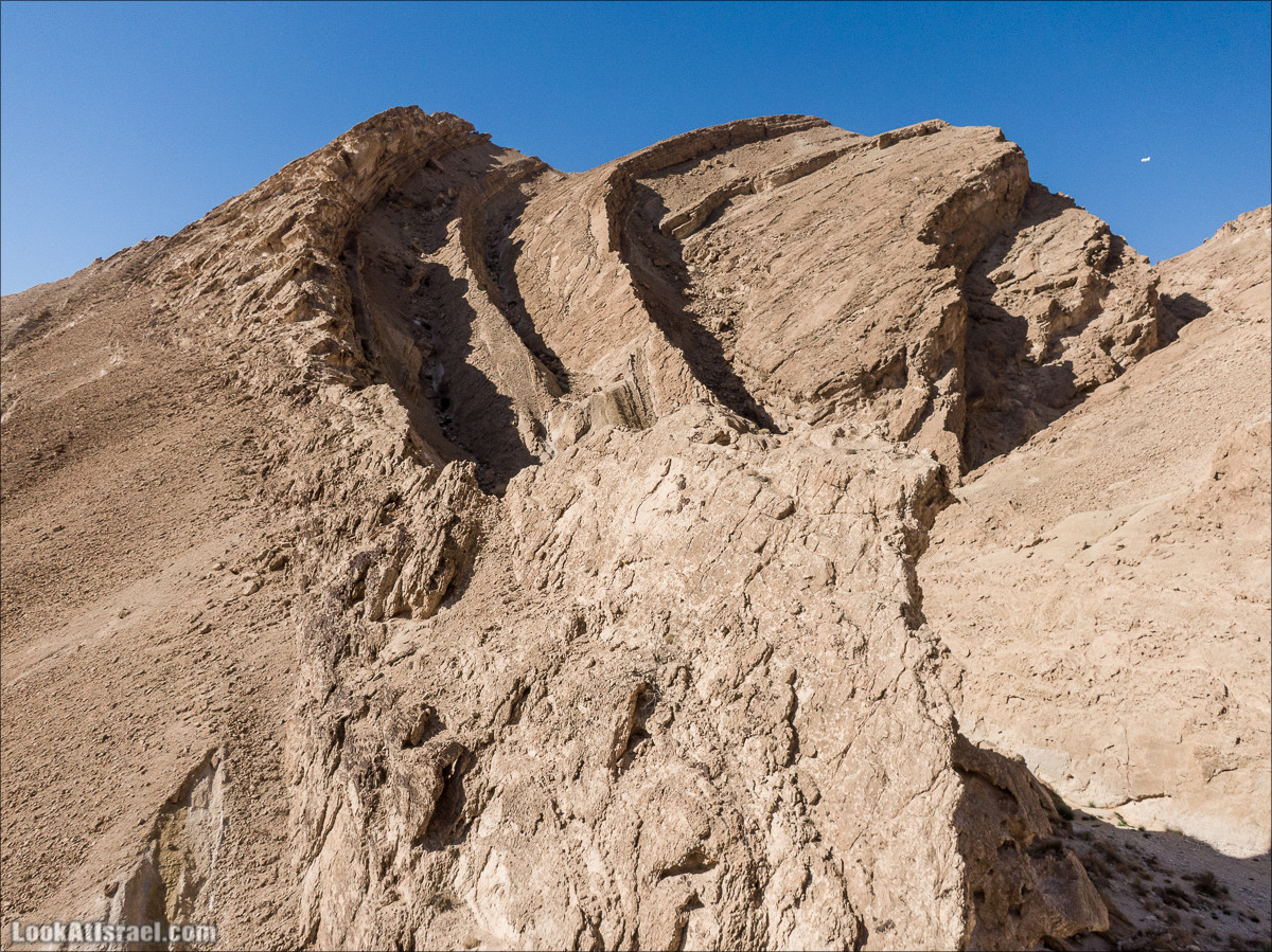 Ущелье Нахаль Акрабим | נחל עקרבים | LookAtIsrael.com - Фото путешествия по Израилю