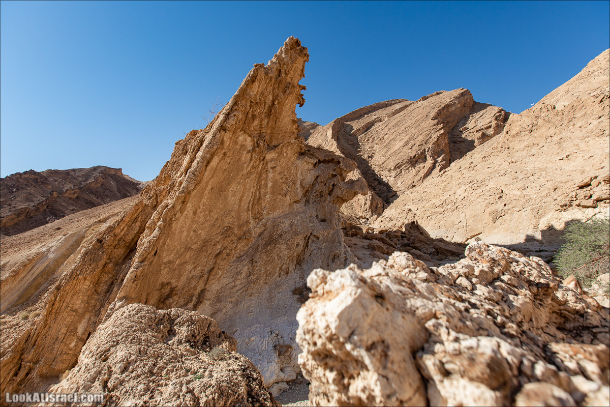 Ущелье Нахаль Акрабим | נחל עקרבים | LookAtIsrael.com - Фото путешествия по Израилю