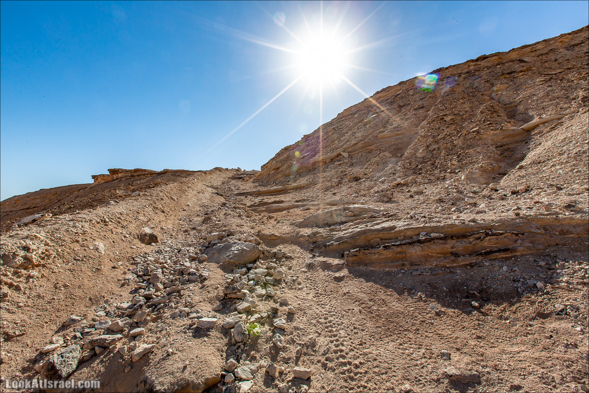Ущелье Нахаль Акрабим | נחל עקרבים | LookAtIsrael.com - Фото путешествия по Израилю
