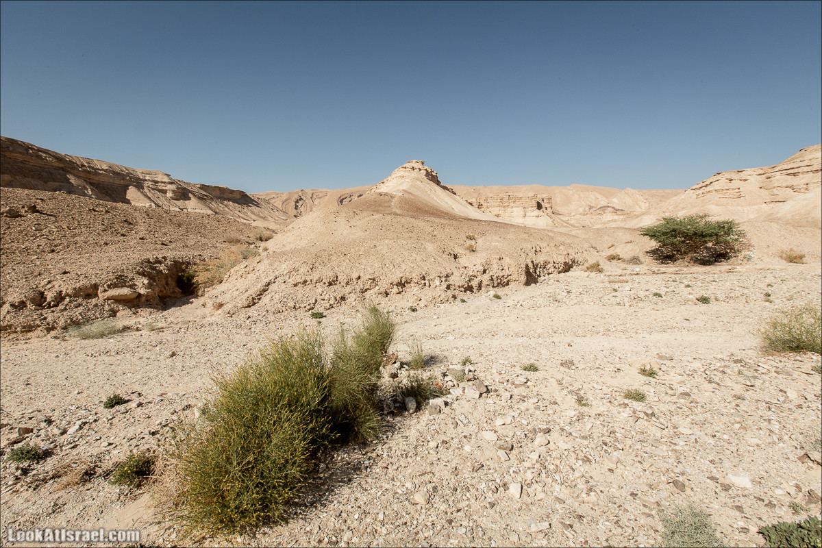 Ущелье Нахаль Акрабим | נחל עקרבים | LookAtIsrael.com - Фото путешествия по Израилю