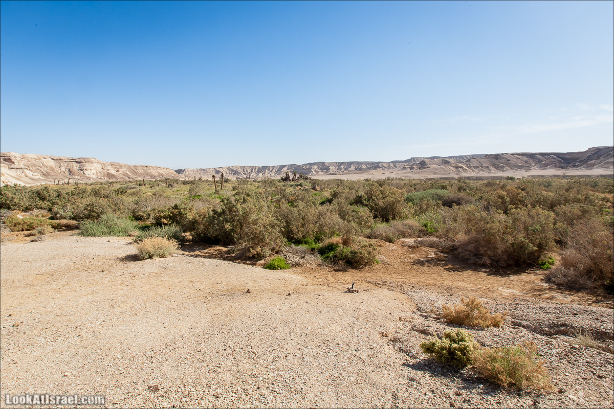 Ущелье Нахаль Акрабим | נחל עקרבים | LookAtIsrael.com - Фото путешествия по Израилю