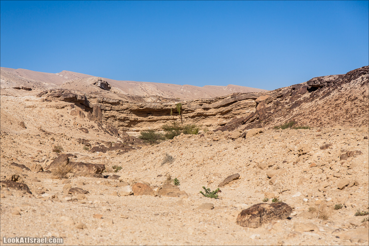 Ущелье Нахаль Акрабим | נחל עקרבים | LookAtIsrael.com - Фото путешествия по Израилю