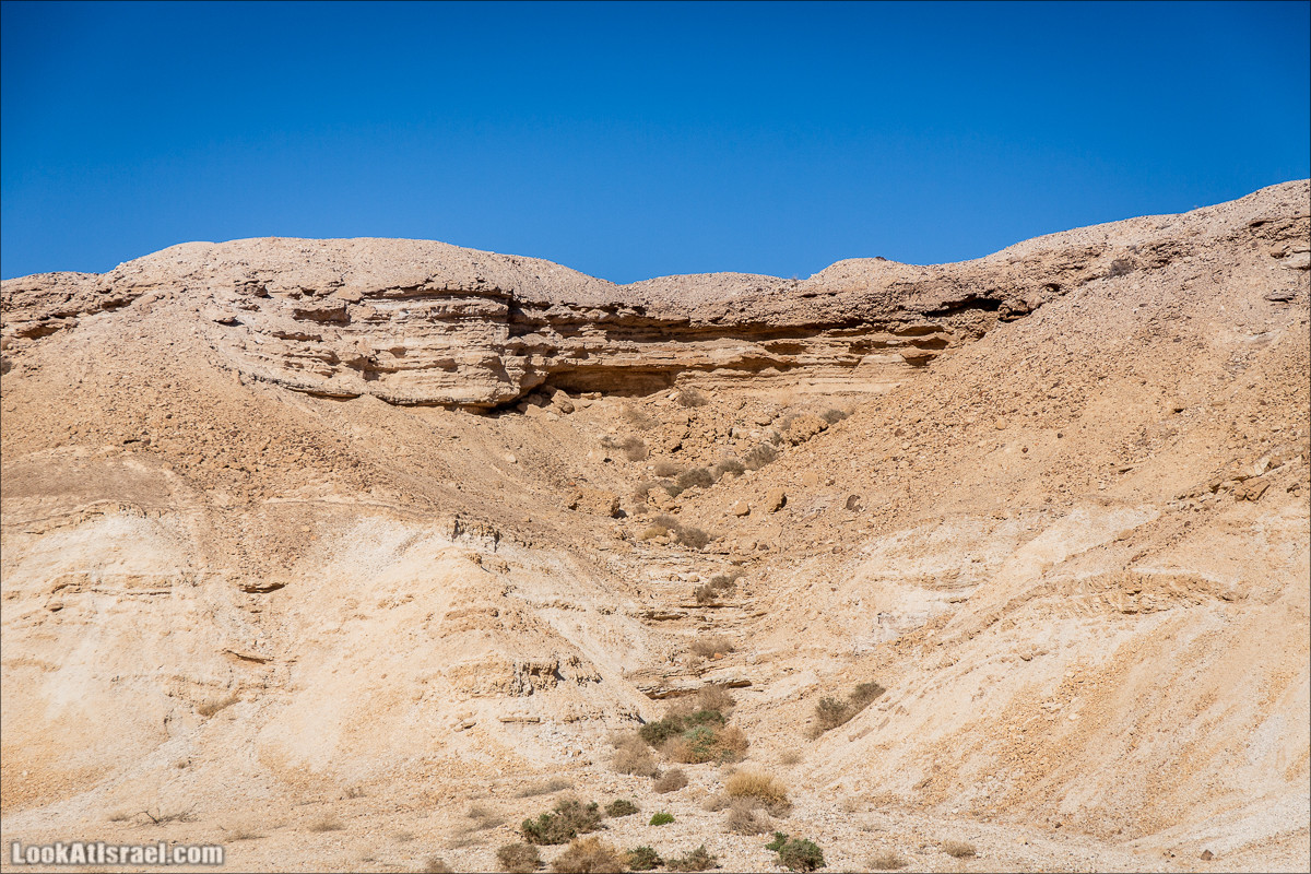 Ущелье Нахаль Акрабим | נחל עקרבים | LookAtIsrael.com - Фото путешествия по Израилю