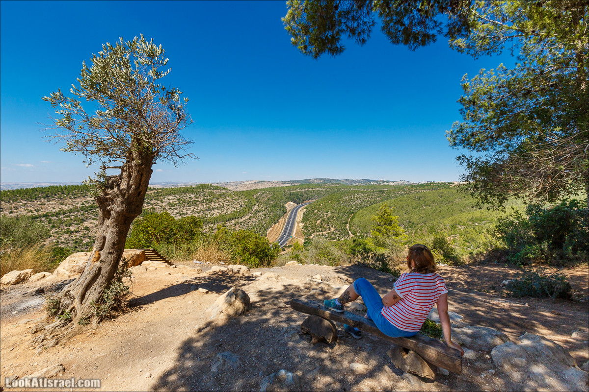 Одно фото перед дорогой