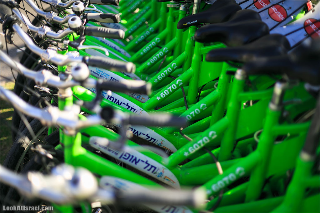 Крошки Тель-Авива - Случайные фотографии из жизни зеленых велосипедов tel-o-fun | LookAtIsrael.com - Фото путешествия по Израилю