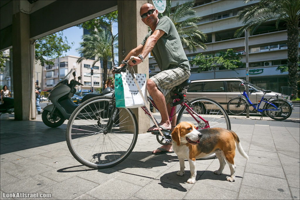 Собаки и их люди | LookAtIsrael.com - Фото путешествия по Израилю