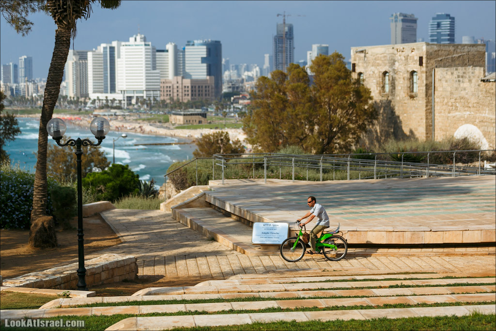Крошки Тель-Авива - Случайные фотографии из жизни зеленых велосипедов tel-o-fun | LookAtIsrael.com - Фото путешествия по Израилю