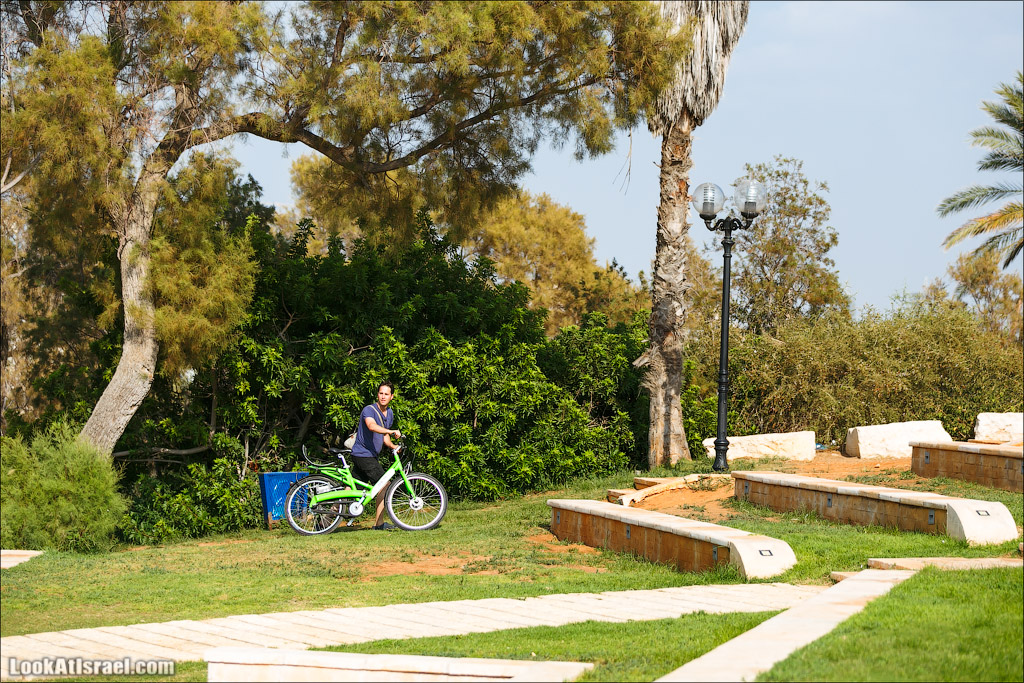 Крошки Тель-Авива - Случайные фотографии из жизни зеленых велосипедов tel-o-fun | LookAtIsrael.com - Фото путешествия по Израилю