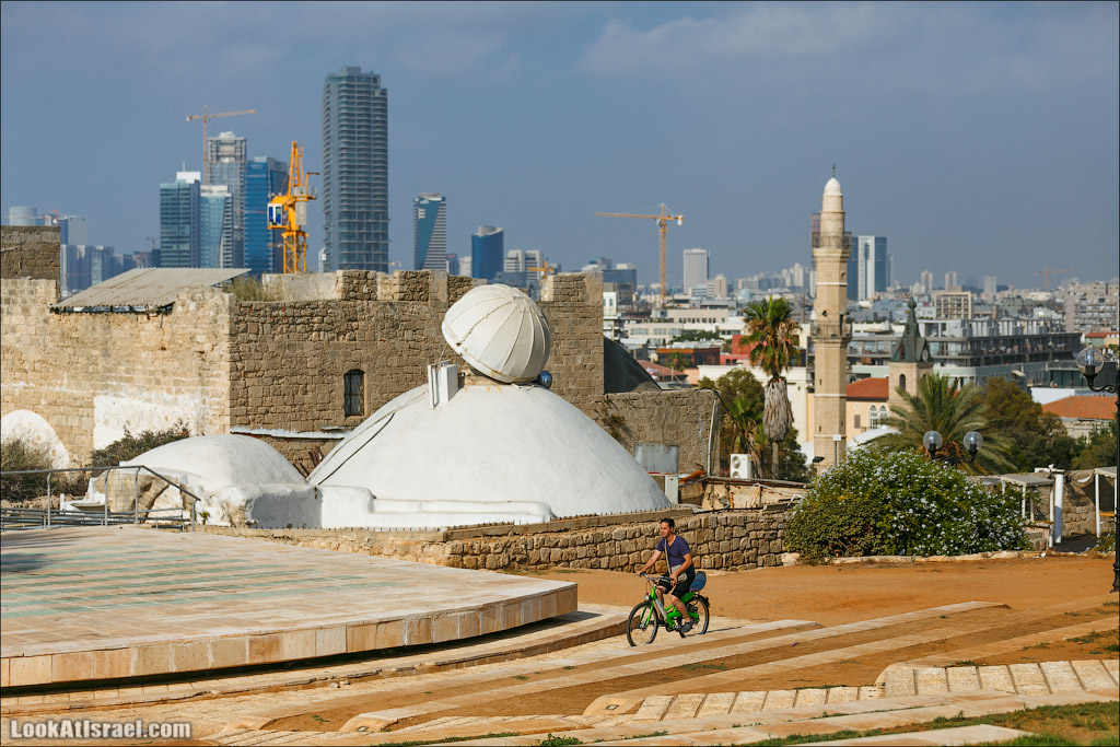 Крошки Тель-Авива - Случайные фотографии из жизни зеленых велосипедов tel-o-fun | LookAtIsrael.com - Фото путешествия по Израилю