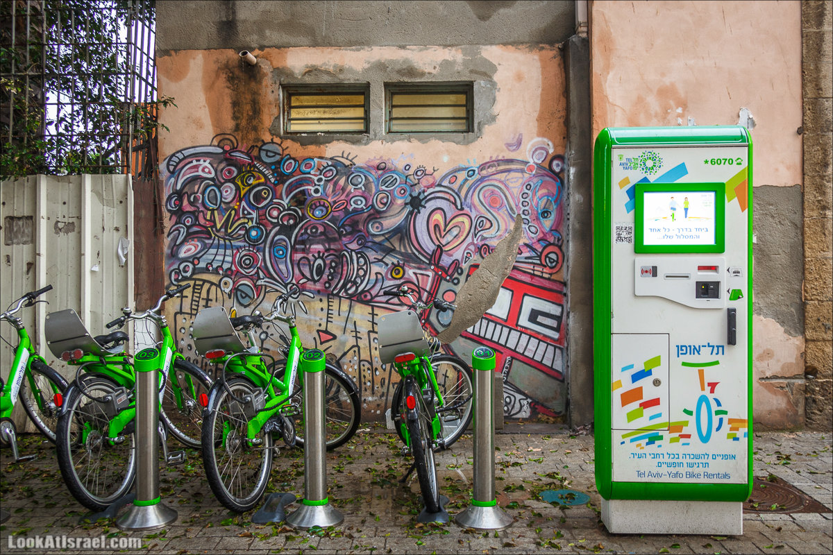 Крошки Тель-Авива - Случайные фотографии из жизни зеленых велосипедов tel-o-fun | LookAtIsrael.com - Фото путешествия по Израилю