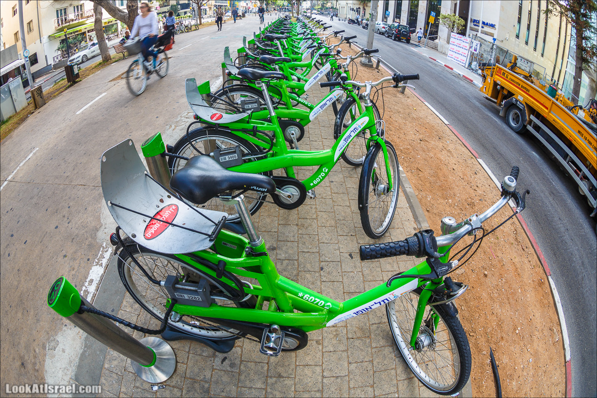 Крошки Тель-Авива - Случайные фотографии из жизни зеленых велосипедов tel-o-fun | LookAtIsrael.com - Фото путешествия по Израилю