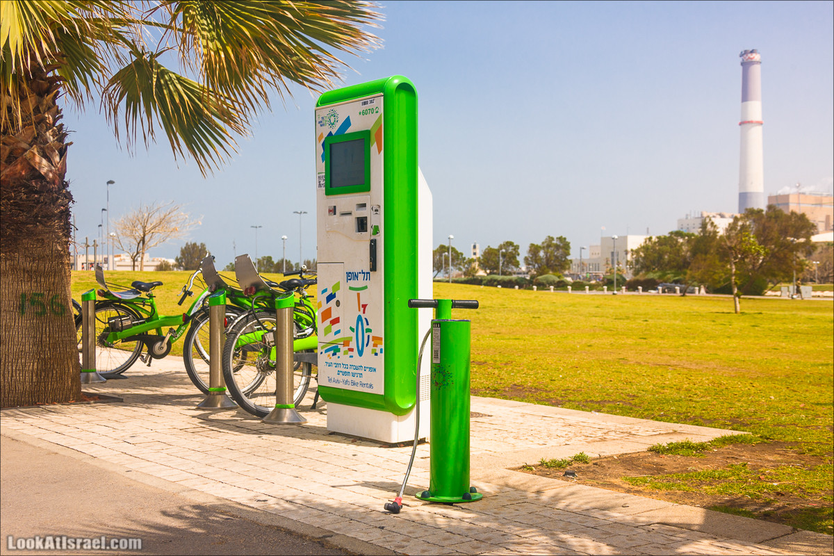 Крошки Тель-Авива - Случайные фотографии из жизни зеленых велосипедов tel-o-fun | LookAtIsrael.com - Фото путешествия по Израилю