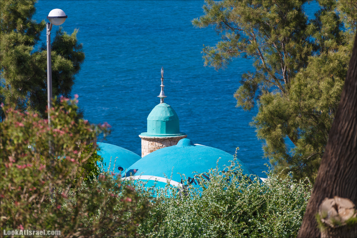 Запретные фотографии из жизни Тель-Авива | LookAtIsrael.com - Фото путешествия по Израилю