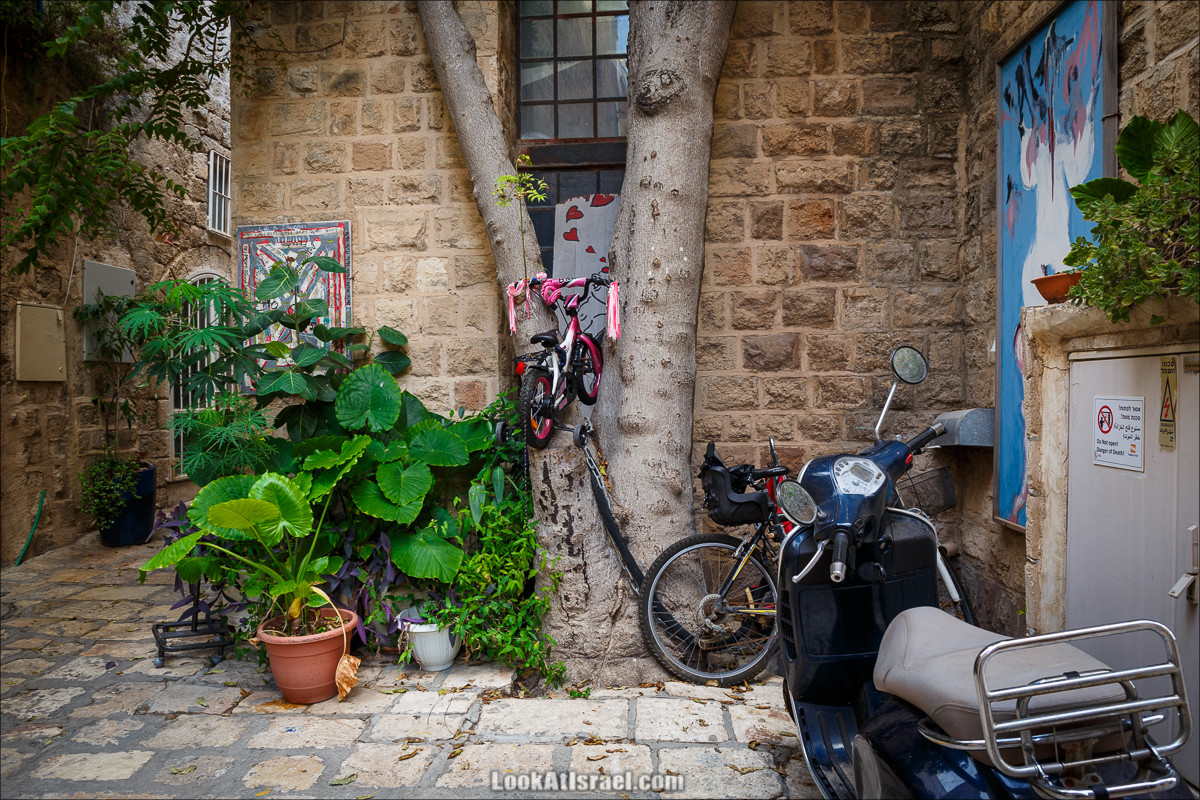 Крошки Тель-Авива - Случайные фотографии из жизни игрушек и двориков | LookAtIsrael.com - Фото путешествия по Израилю