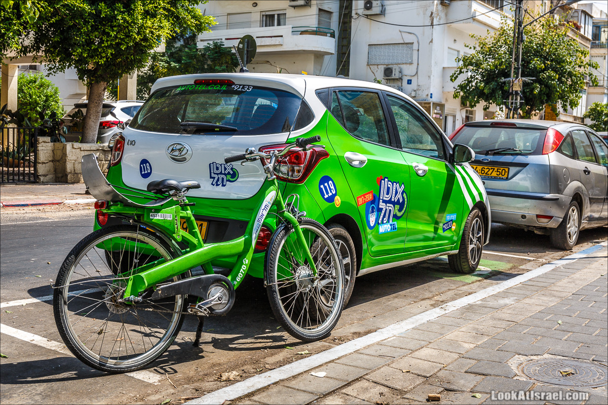 Крошки Тель-Авива - Случайные фотографии из жизни зеленых велосипедов tel-o-fun | LookAtIsrael.com - Фото путешествия по Израилю