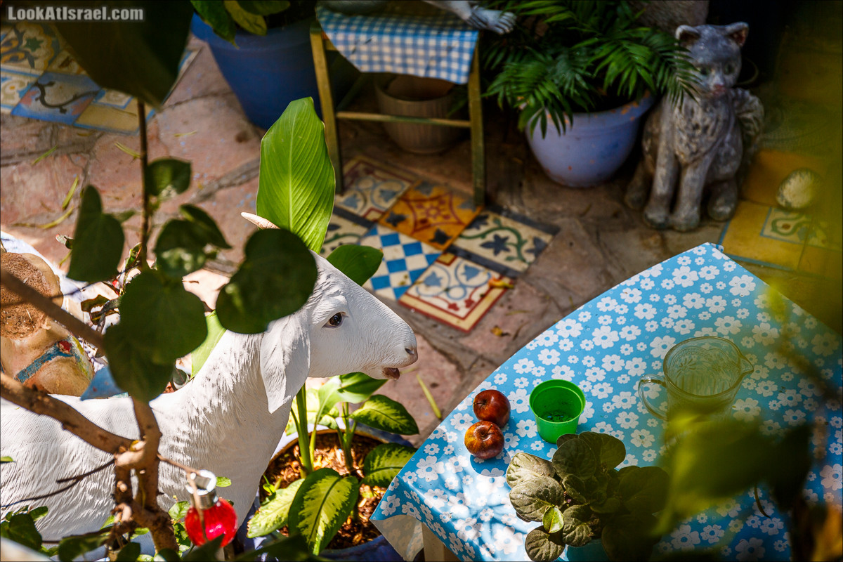 Крошки Тель-Авива - Случайные фотографии из жизни игрушек и двориков | LookAtIsrael.com - Фото путешествия по Израилю