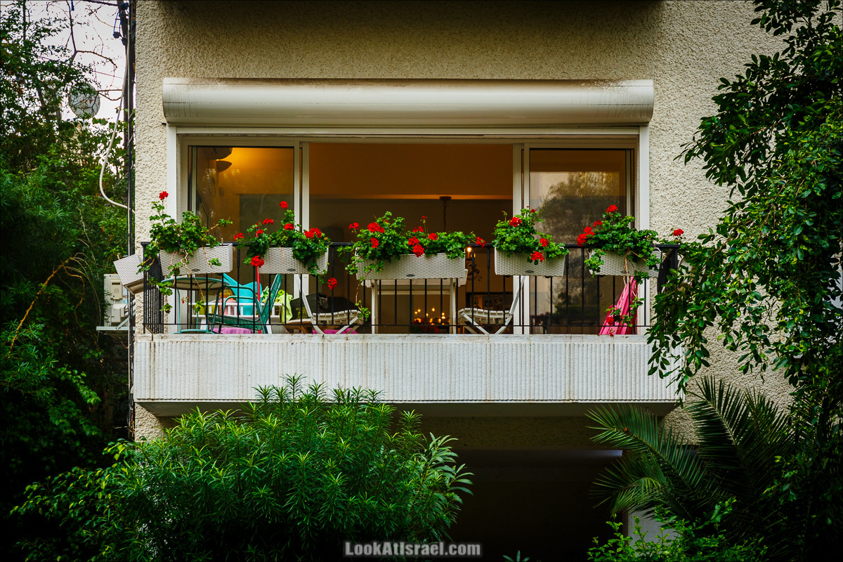 Крошки Тель-Авива - Случайные фотографии из жизни игрушек и двориков | LookAtIsrael.com - Фото путешествия по Израилю