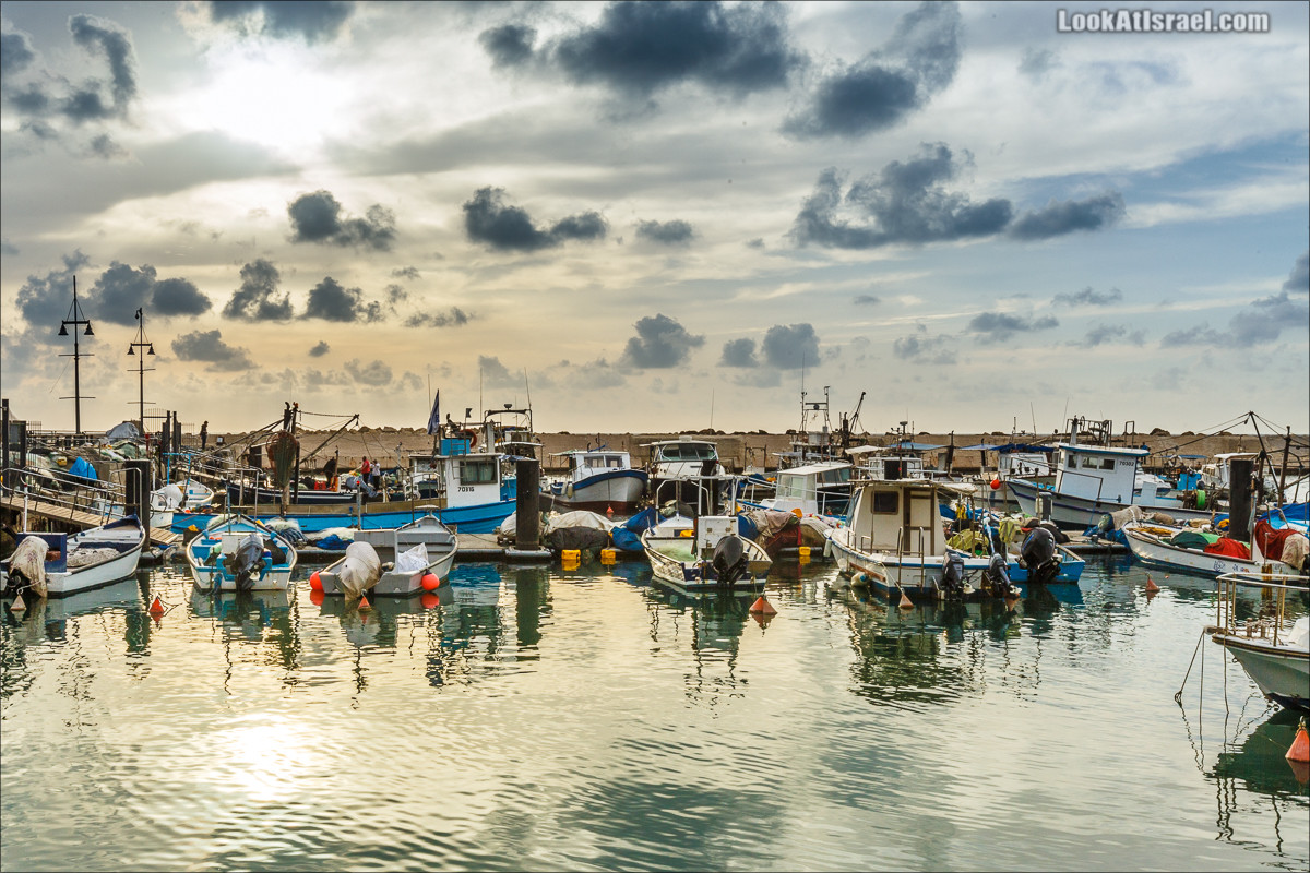 Крошки Тель-Авива - случайные фотографии из жизни порта Яффо | LookAtIsrael.com - Фото путешествия по Израилю