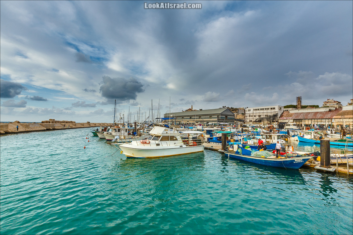 Крошки Тель-Авива - случайные фотографии из жизни порта Яффо | LookAtIsrael.com - Фото путешествия по Израилю