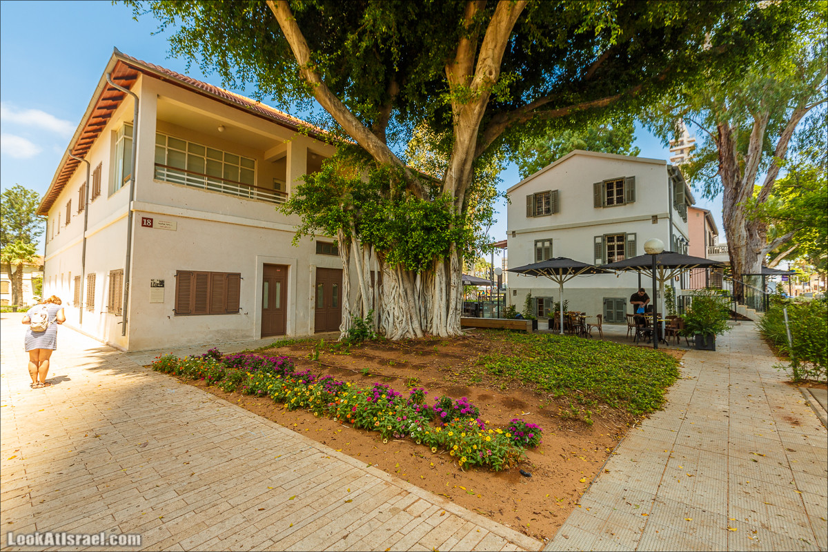 Случайные фотографии Тель Авива - Сарона | LookAtIsrael.com - Фото путешествия по Израилю