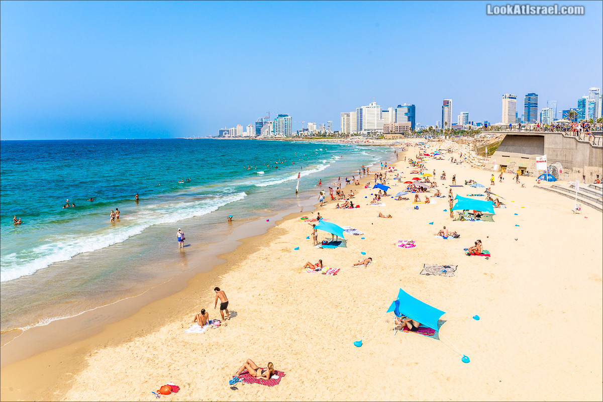 Крошки Тель-Авива - случайные фотографии из жизни Тель-Авива | LookAtIsrael.com - Фото путешествия по Израилю