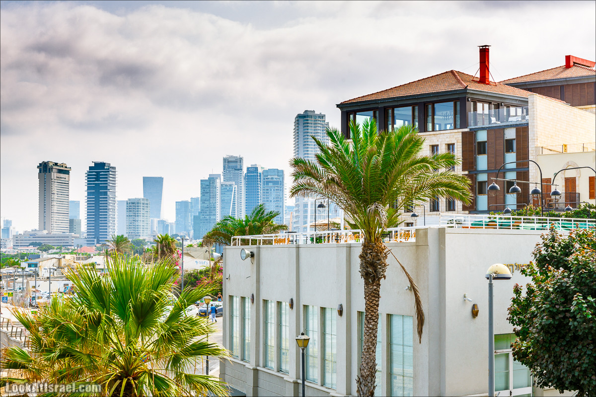Крошки Тель-Авива - случайные фотографии из жизни Яффо | LookAtIsrael.com - Фото путешествия по Израилю