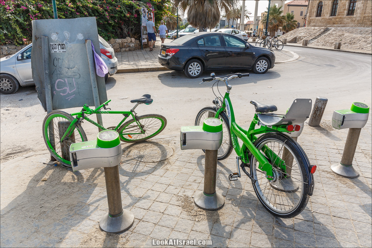 Крошки Тель-Авива - случайные фотографии из жизни Яффо | LookAtIsrael.com - Фото путешествия по Израилю