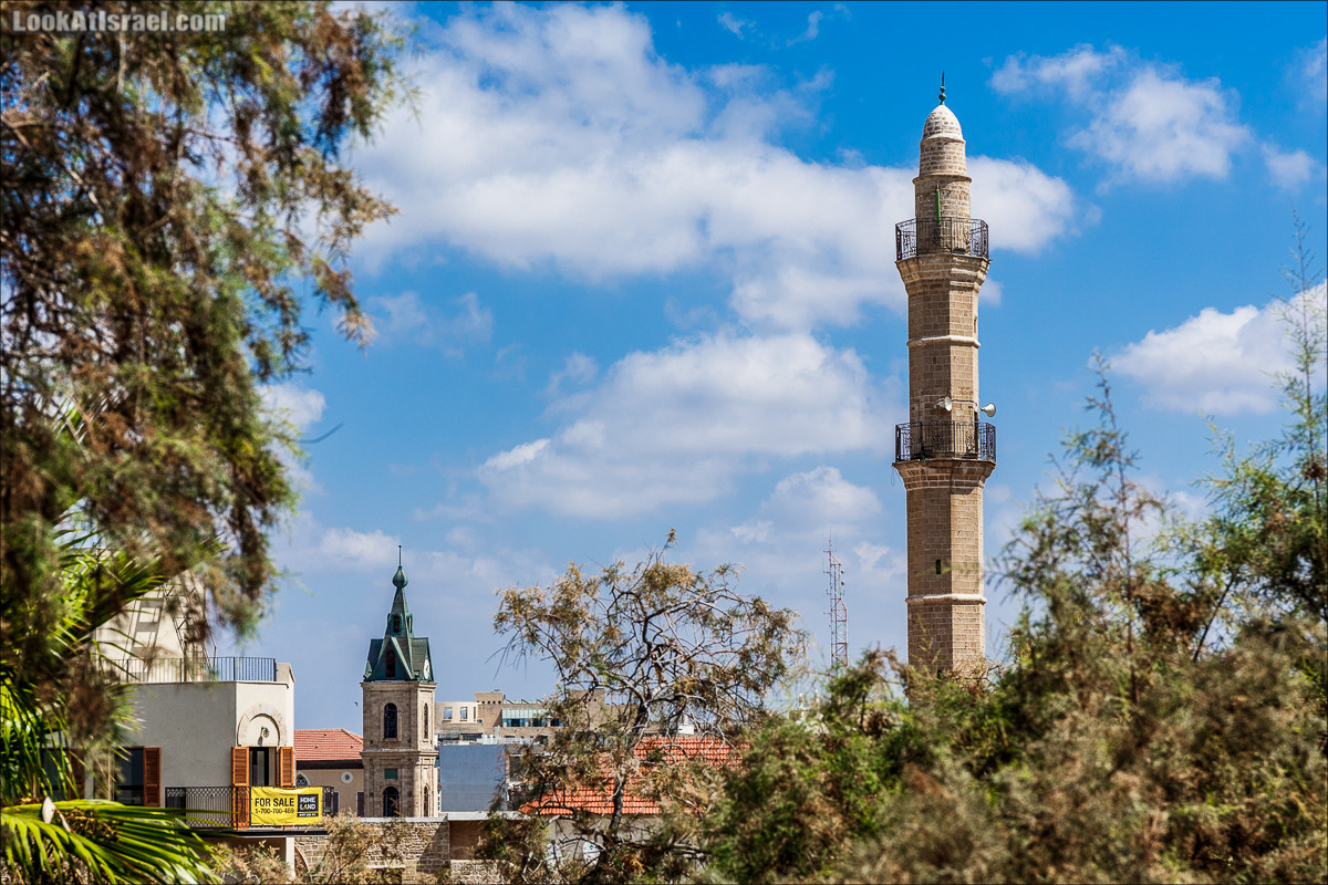 Крошки Тель-Авива - случайные фотографии из жизни Яффо | LookAtIsrael.com - Фото путешествия по Израилю