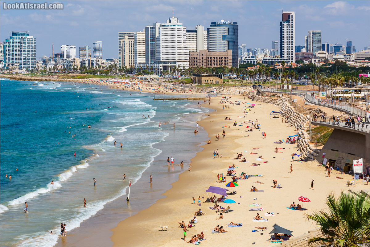 Случайные фотографии тель-авивских пляжей 31