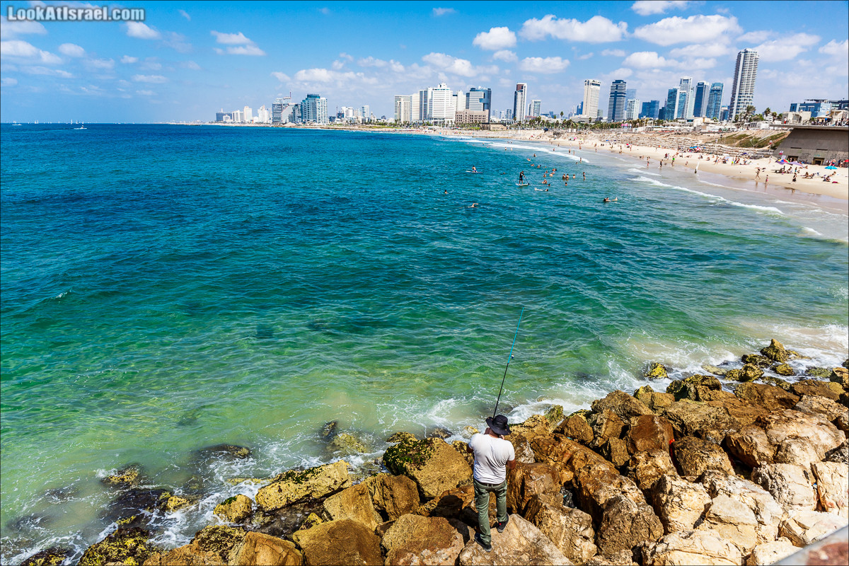 Крошки Тель-Авива - случайные фотографии из жизни Яффо | LookAtIsrael.com - Фото путешествия по Израилю