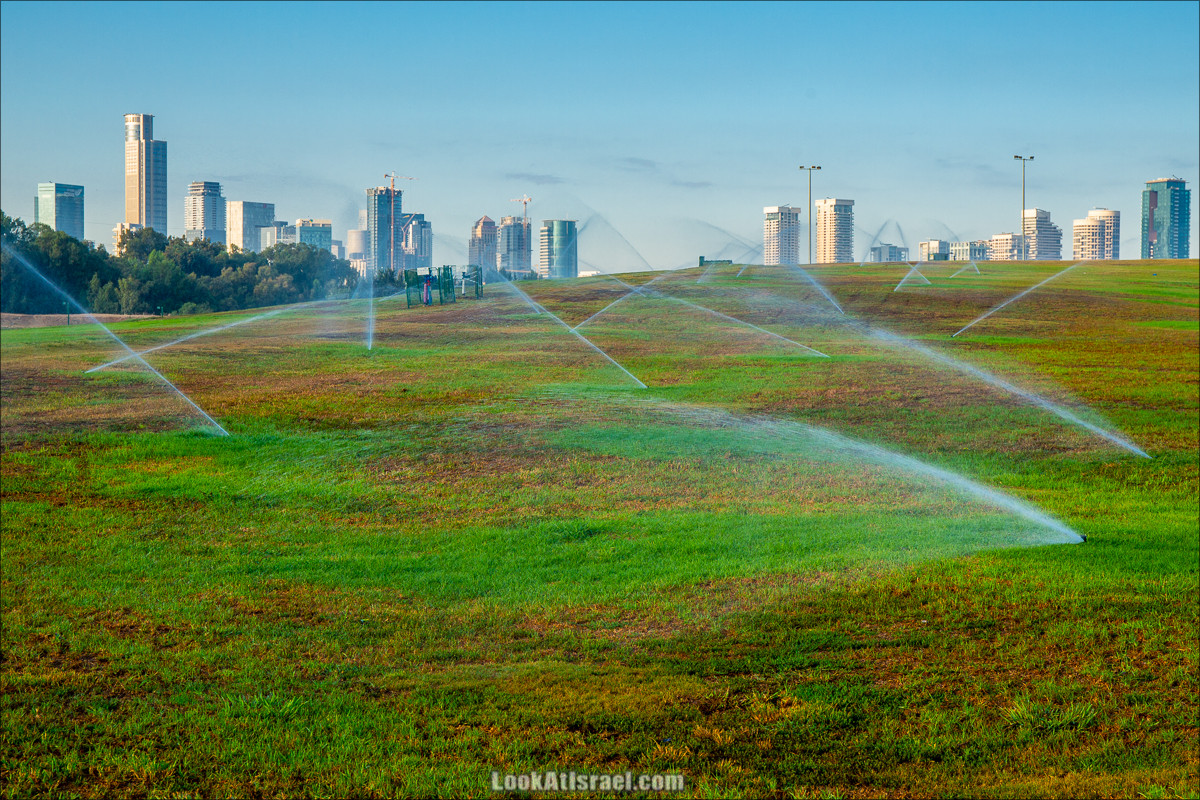 Крошки Тель-Авива - случайные фотографии из жизни Тель-Авива | LookAtIsrael.com - Фото путешествия по Израилю