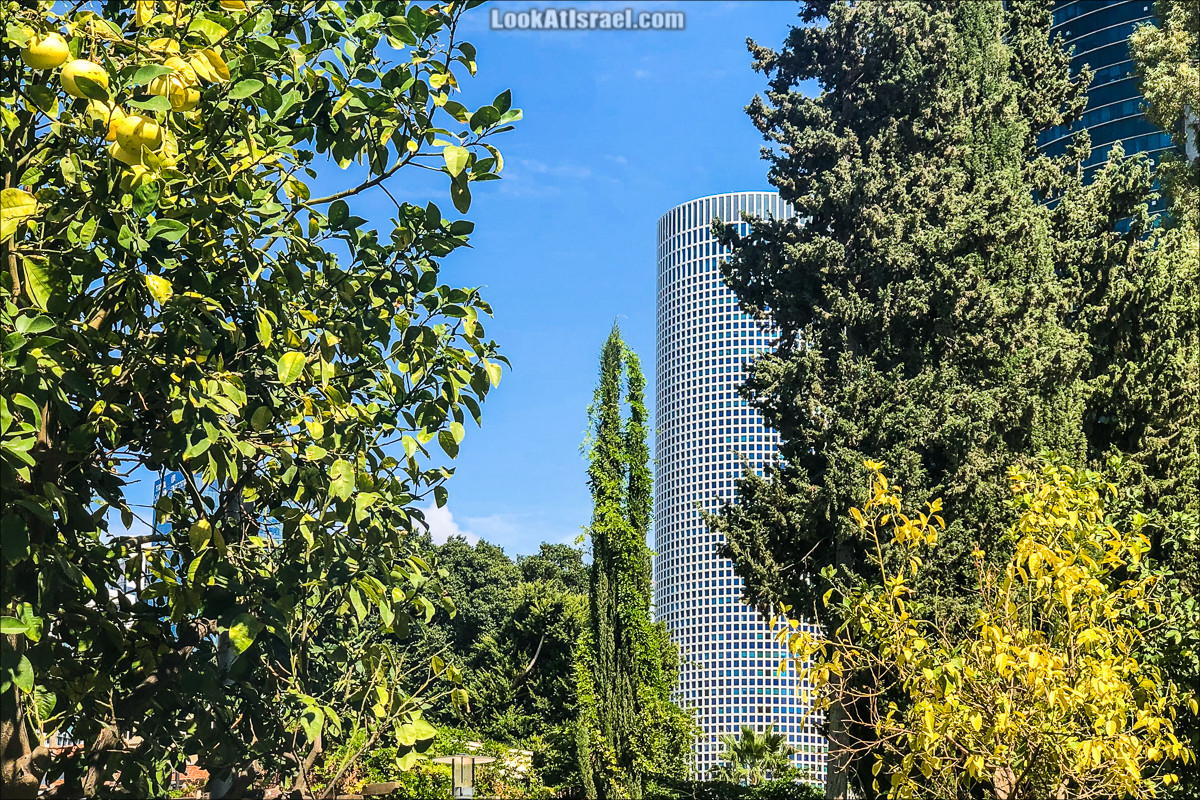 Случайные фотографии Тель Авива - Сарона | LookAtIsrael.com - Фото путешествия по Израилю