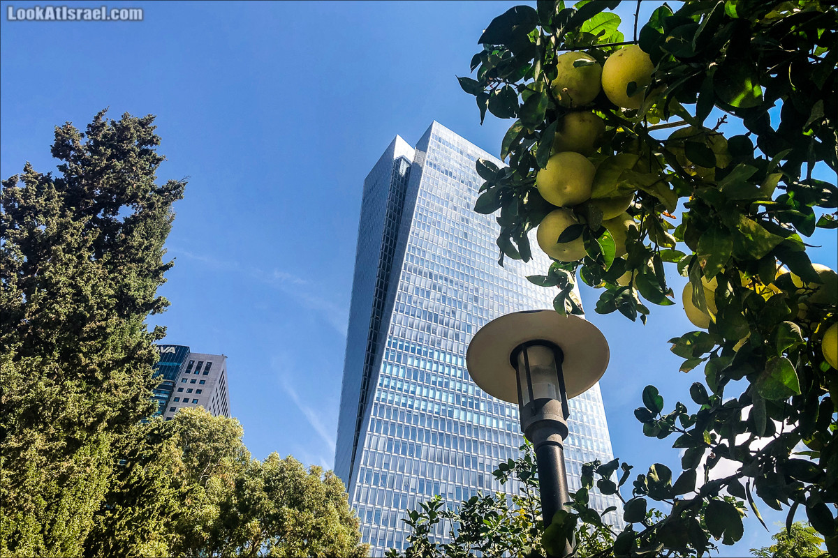ебоскребы Тель-Авива - Азриели Сарона | LookAtIsrael.com - Фото путешествия по Израилю