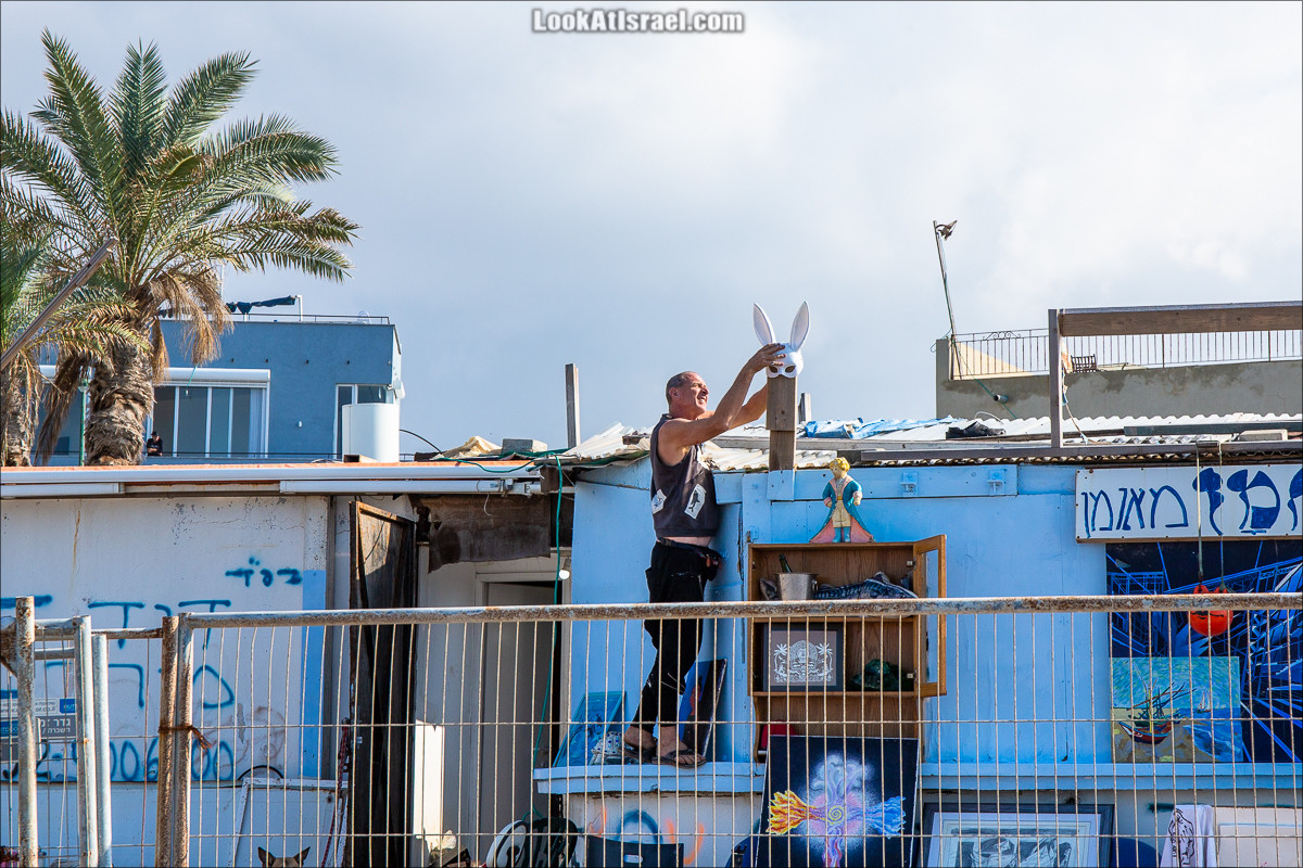 Случайные фотографии из жизни Яффо | LookAtIsrael.com - Фото путешествия по Израилю