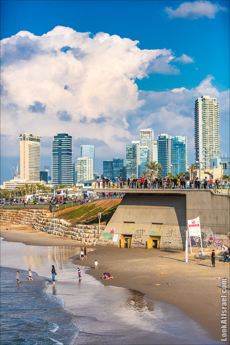 Крошки Тель-Авива - случайные фотографии из жизни Тель-Авива | LookAtIsrael.com - Фото путешествия по Израилю