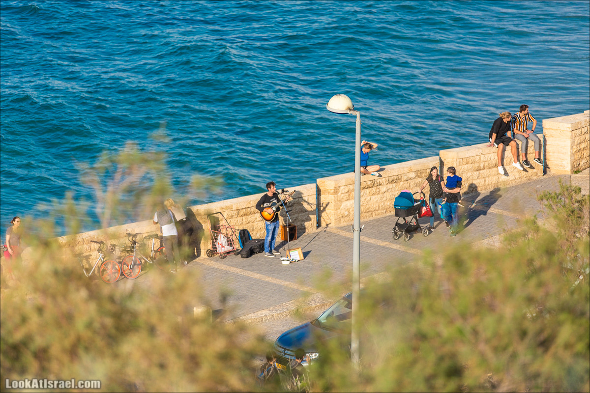 Случайные фотографии из жизни Яффо | LookAtIsrael.com - Фото путешествия по Израилю