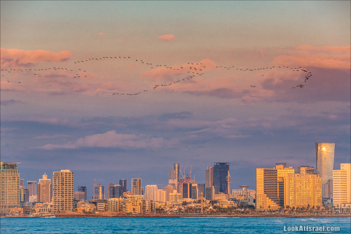 Закат в Тель-Авиве | LookAtIsrael.com - Фото путешествия по Израилю